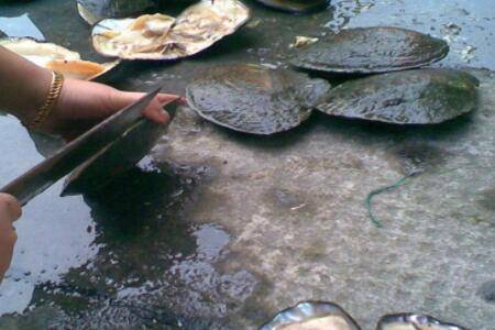 �Ӱ�һ����Գ����_��з