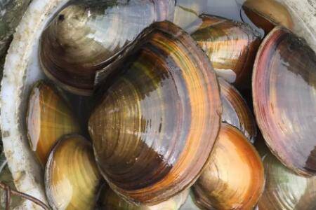 �Ӱ��������ܲ�������_��з