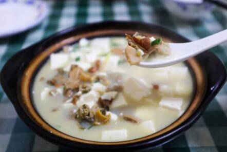 吃河蚌时要注意什么_养蟹