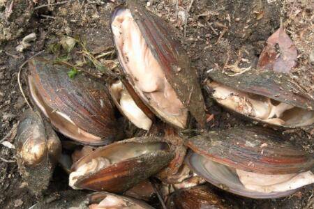 �Ӱ�ûˮ���Ի���_��з