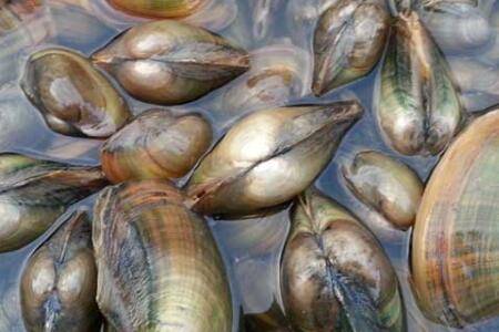 �Ӱ���ô���ź�_��з