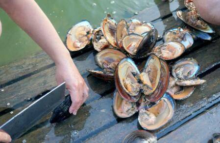 �Ӱ�����ô��_��з