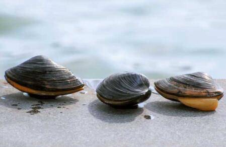 �Ӱ�����ô������_��з