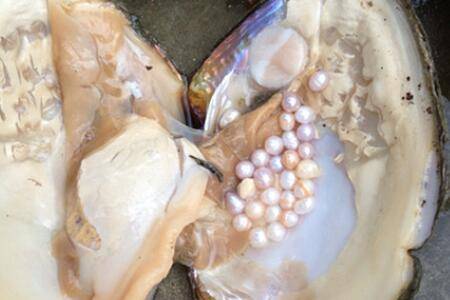 �Ӱ�����������_��з