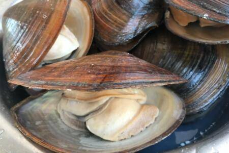 �Ӱ�����Щ����_��з