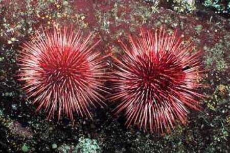 �캣���ܲ��ܳ�_����