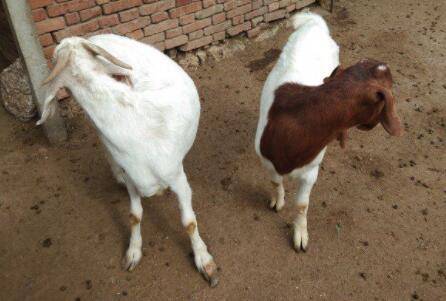 �������ô���ƣ�_����