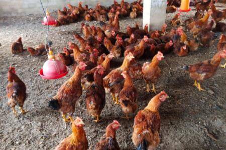 �⼦��θ����ô�Σ�_����