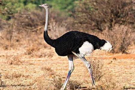 ����Ȧ�ܵ浾����_��ֳ�ʴ�