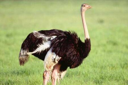 ����Ϊʲô����ô�죿_��ֳ�ʴ�