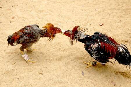 �����۸���ô������������Ǯһ��_����