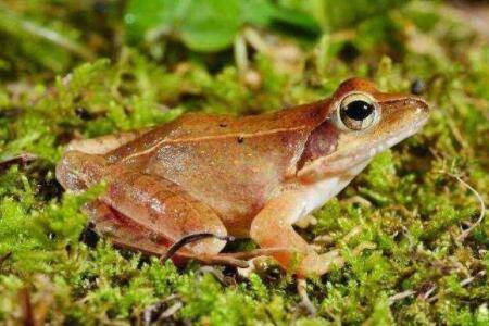 �������Ͻ�ʳ�����ܼ��·ݿ��ڳ�ʳ_����