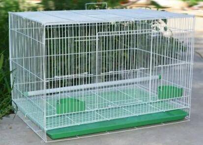 肉鸽笼规格和尺寸有什么要求_养鸽