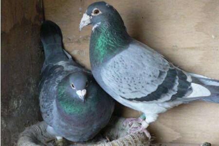 ��������������ܶ��Ƕ���_����