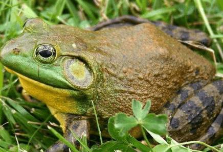 ţ����ôԽ��������Խ������_����