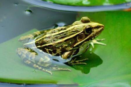 ���ܺ����м�����ֺͷ_����