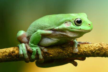 ����Ķ�����Ƕ���_����