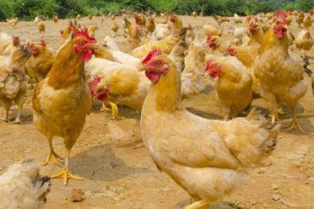 �⼦���ϲ�����ʲôԭ����ô�죿_����