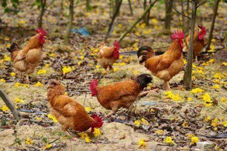 �⼦����ë��ô���£���ô���Σ�_����