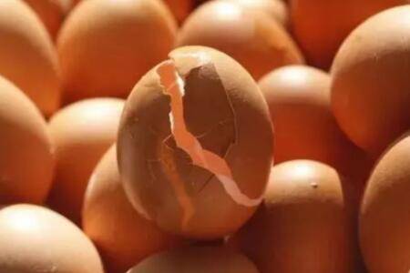 ���ĵ�ʲôԭ����ô���Σ�_����