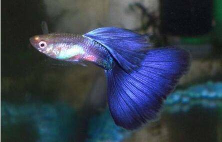 ��ȸ������С����ô������_����