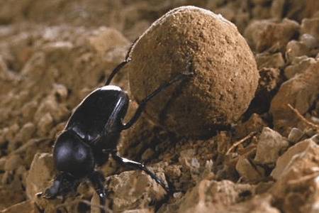 ��������������Щ�ص�_��ֳ�ʴ�