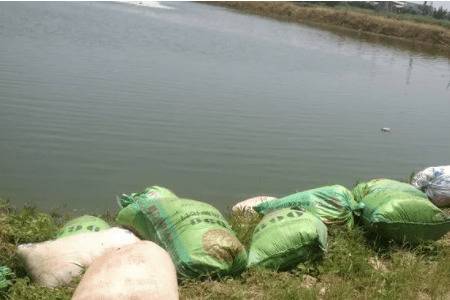 虾塘肥水时一亩地用多少复合肥_养虾