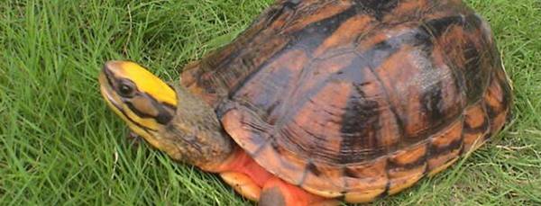 ����Ǯ���ʺϷŶ���ˮ_��ֳ�ʴ�