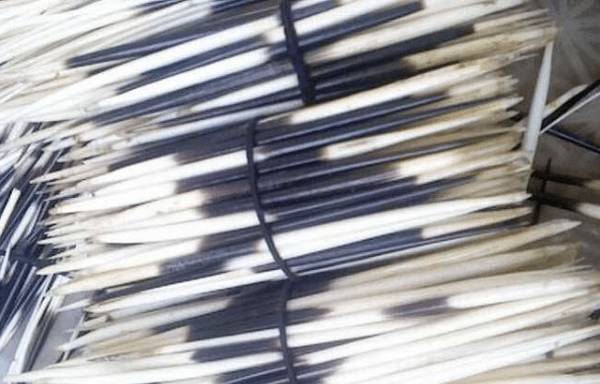 豪猪刺的功效与作用_豪猪养殖