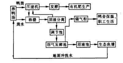 养鸭废水处理办法_养鸭