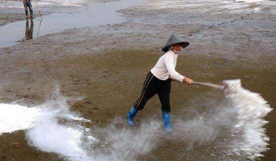 小龙虾养殖池塘用生石灰消毒的方法_养虾