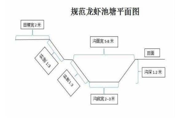 小龙虾池塘怎么选址,小龙虾池塘选址的五大要求_养虾