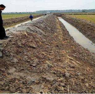 小龙虾池塘怎么选址,小龙虾池塘选址的五大要求_养虾