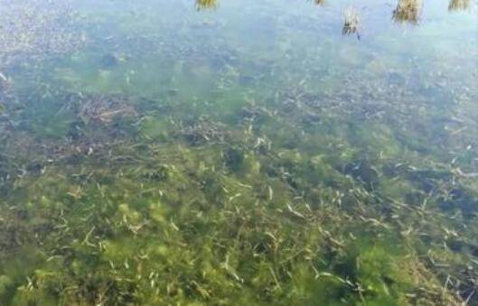 С��Ϻ��������̦��Σ������С��Ϻ��̦�Ĵ�������_��Ϻ