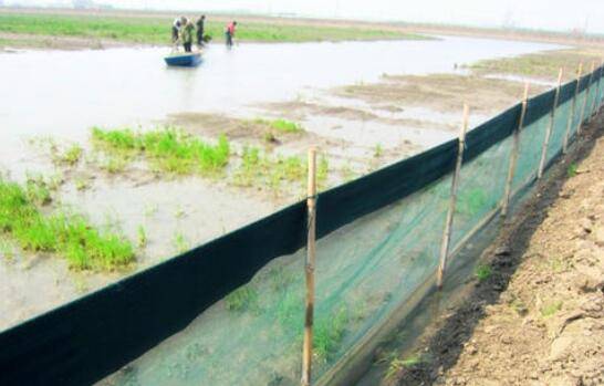 池塘养殖小龙虾的防逃设施有哪些_养虾