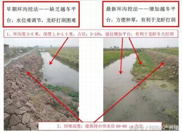 稻田养殖小龙虾怎么挖沟,五个挖沟技巧建议收藏_养虾