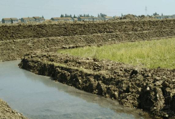 稻田科学套养小龙虾的方法,这三点保稻田养小龙虾丰收_养虾