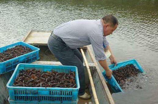 ��ˮ��С��Ϻ��ô��׬Ǯ��ץס���㣬��С��Ϻ׬��Ǯ_��Ϻ