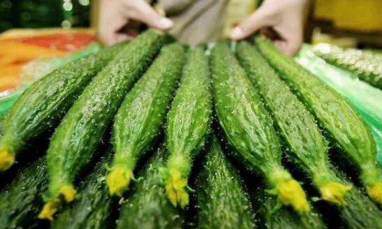 黄瓜生长对肥料的要求,黄瓜施肥的几大要点_蔬菜种植