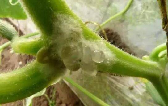 ƹϾ˲ļ֢״ƹϾ˲ķη_ֲ߲