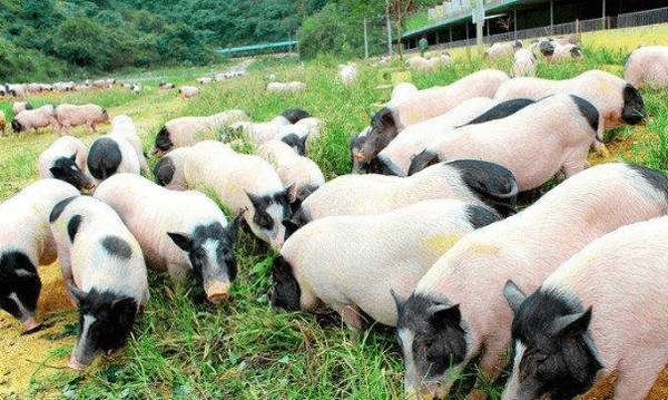 ����������������ζ����120�ǳ��������ü�Ǯ_������ֳ