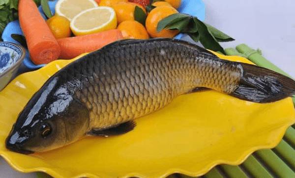 鲤鱼有没有刺_养殖问答