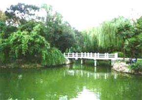 点击新窗口打开大图