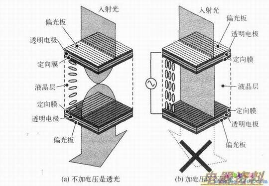 TNҺ����ʾ���Ĺ���ԭ��ʾ��ͼ