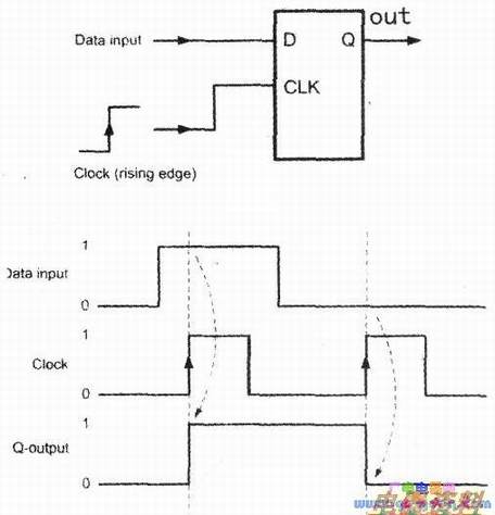 D��˫��̬������