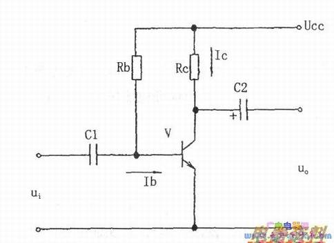 ��Ƶ�����Ŵ��·