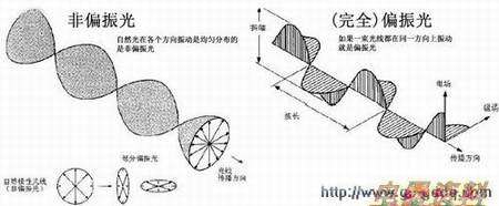 ƫ���۾���ԭ��