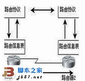 动态路由器是什么意思 动态路由器介绍