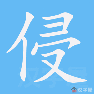 ���֡��ı�˳����д�ֶ�����ʾ