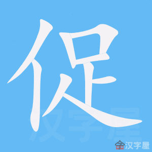 ���١��ı�˳����д�ֶ�����ʾ